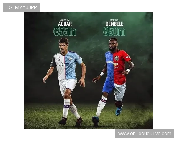 法甲球探网络:全球年轻球员挖掘体系