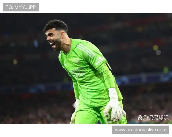 皮克福德长传精准，埃弗顿门神成反击发起者